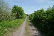 Strasse RH159 03.jpg