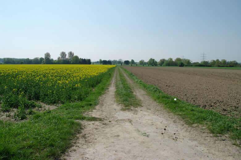 Straße-UE76 von der Straße-UE74 aus