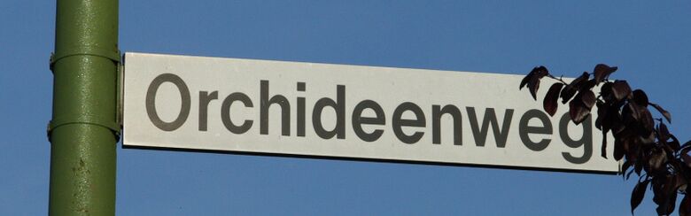Straßenschild Orchideenweg