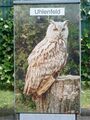 Vorschaubild der Version vom 11:05, 18. Jun. 2012