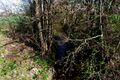 Der Mesenbach an der Mesenmark