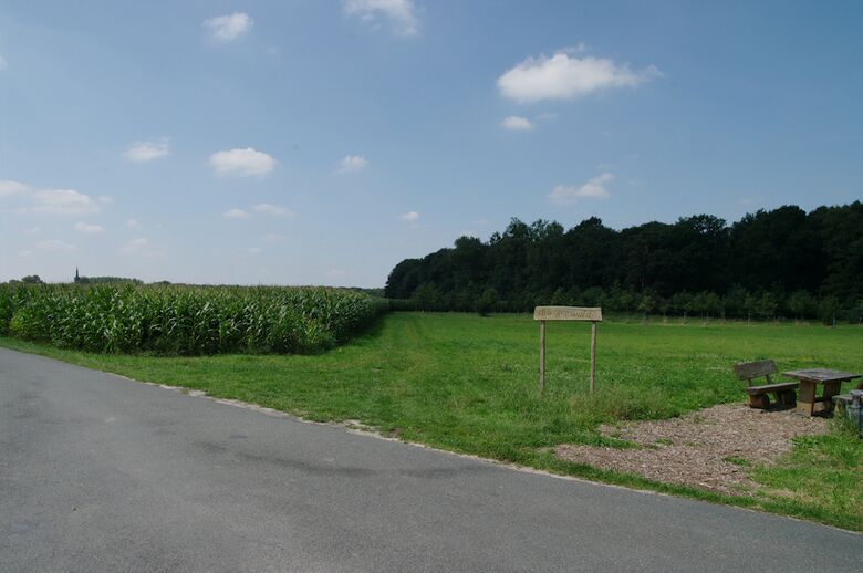 Straße-UE71 von Im Nachtigallental aus