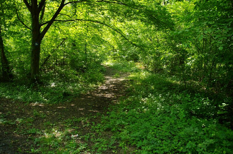 Datei:Strasse UE45 01.jpg